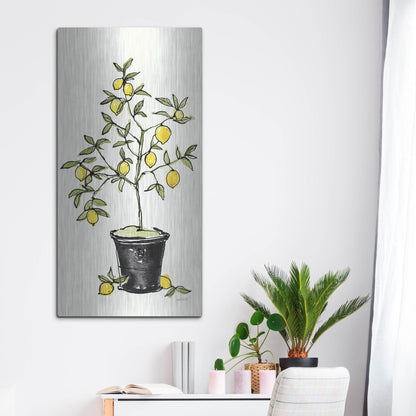 Luxe Metal Art 'Citron V' by Anne Tavoletti, Metal Wall Art,24x48