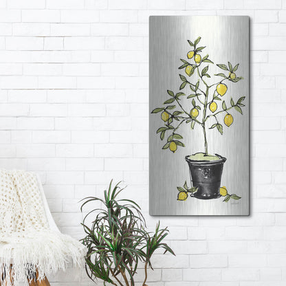 Luxe Metal Art 'Citron V' by Anne Tavoletti, Metal Wall Art,24x48