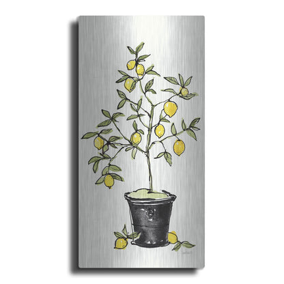 Luxe Metal Art 'Citron V' by Anne Tavoletti, Metal Wall Art