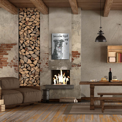 Luxe Metal Art 'Strike a Paws XI' by Anne Tavoletti, Metal Wall Art,24x36