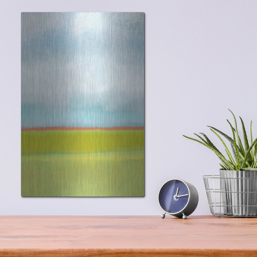 'Meadow 1' by Jan Weiss – Metal Wall Art, 12x16 room view
