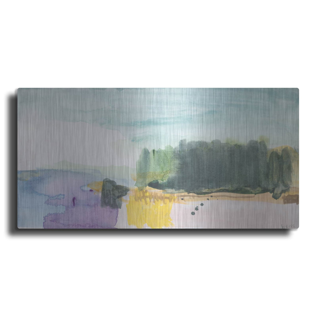'The Cloud That Took The Form' by Jan Weiss – Metal Wall Art