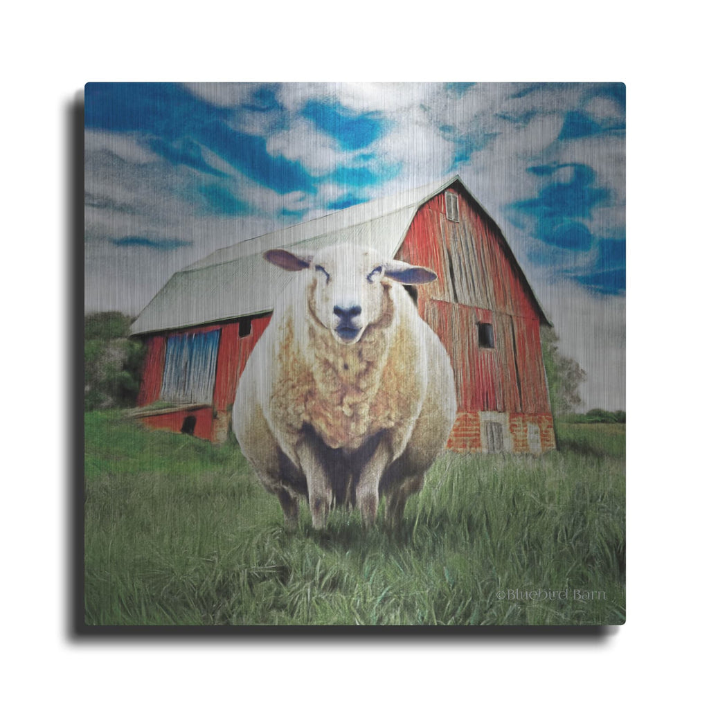 'Sunday Afternoon Sheep Pose' by Bluebird Barn – Metal Wall Art