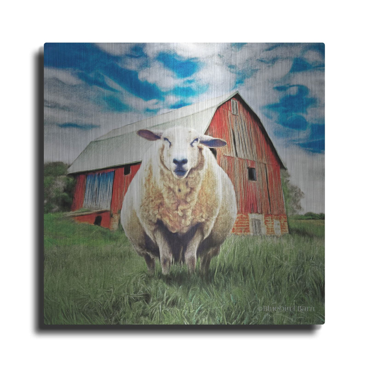 'Sunday Afternoon Sheep Pose' by Bluebird Barn – Metal Wall Art
