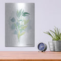 'Watercolor Greenery Series II' by Bluebird Barn – Metal Wall Art, 12x16 room view