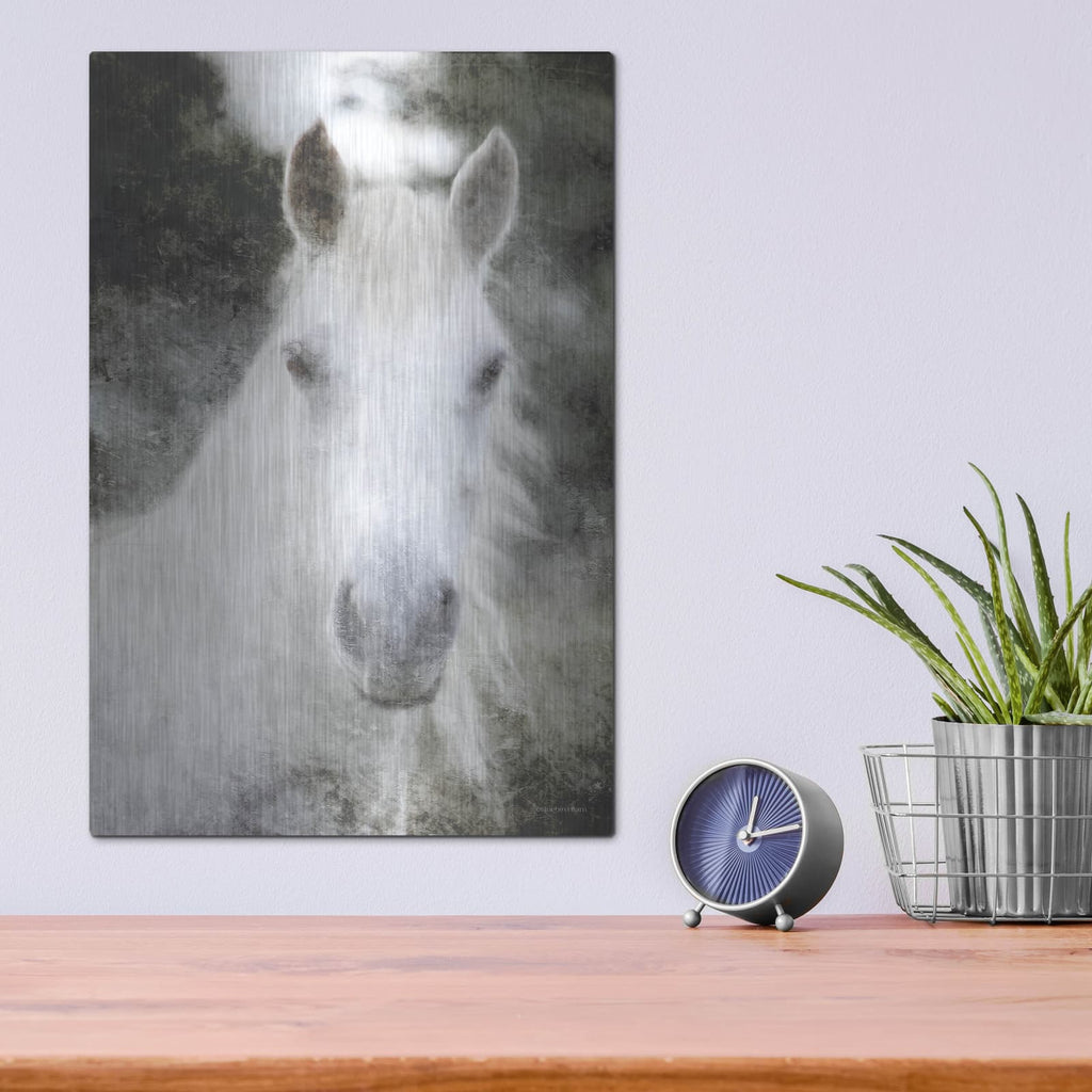 'White Horse Mystique' by Bluebird Barn – Metal Wall Art, 12x16 room view