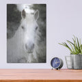 'White Horse Mystique' by Bluebird Barn – Metal Wall Art, 12x16 room view