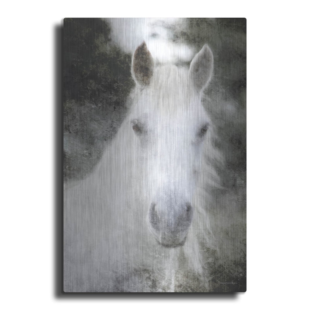 'White Horse Mystique' by Bluebird Barn – Metal Wall Art