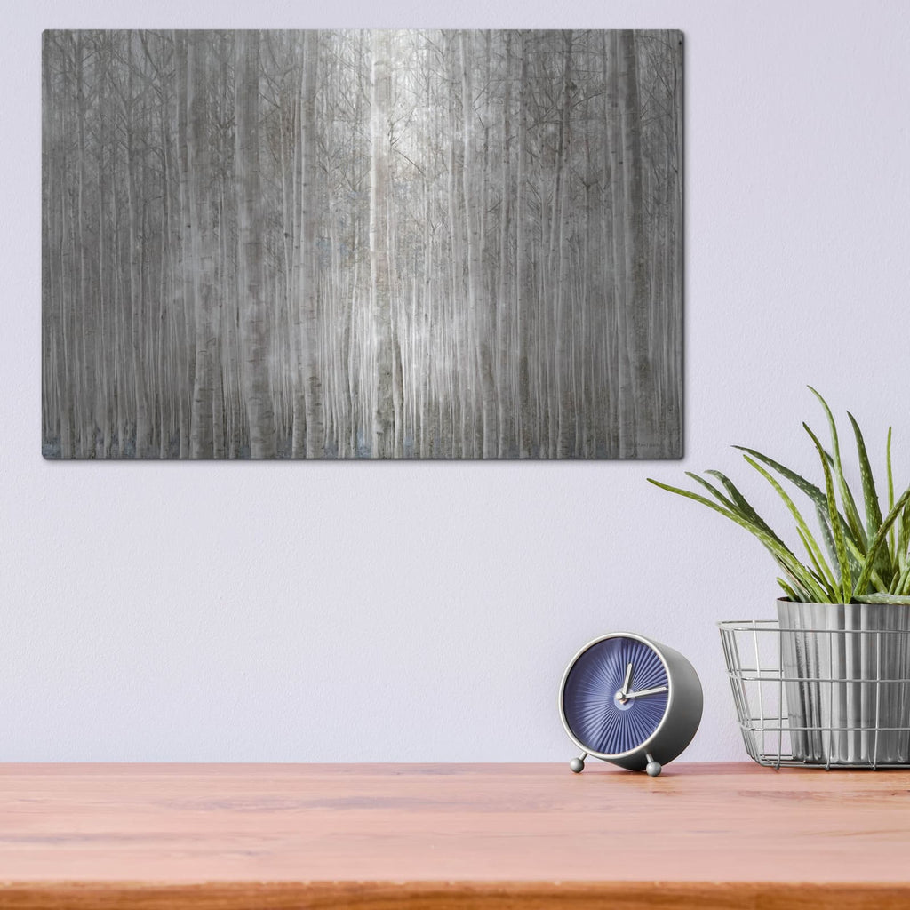'Birch Trees' by Bluebird Barn – Metal Wall Art, 16x12 room view