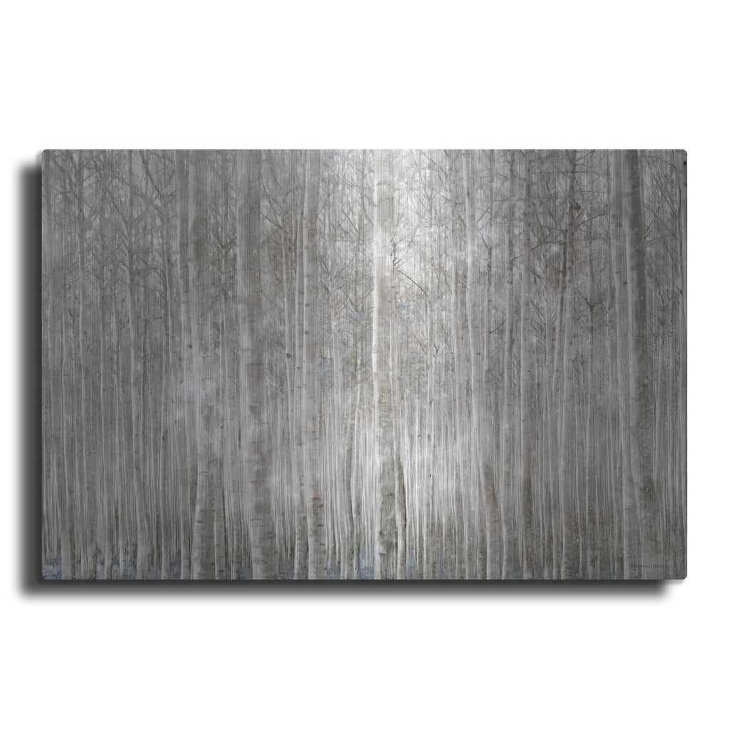 'Birch Trees' by Bluebird Barn – Metal Wall Art