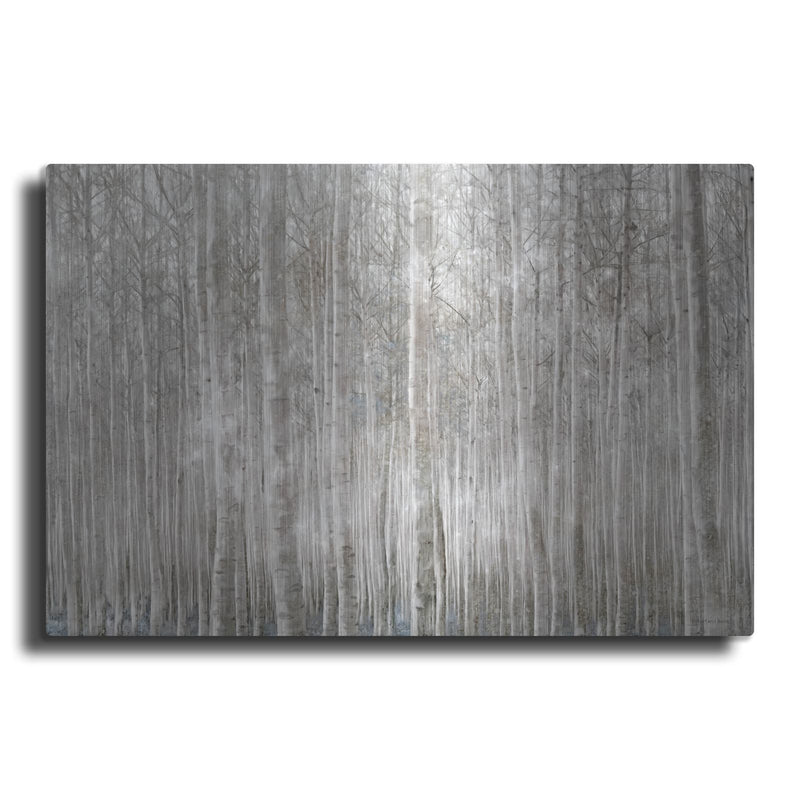 'Birch Trees' by Bluebird Barn – Metal Wall Art