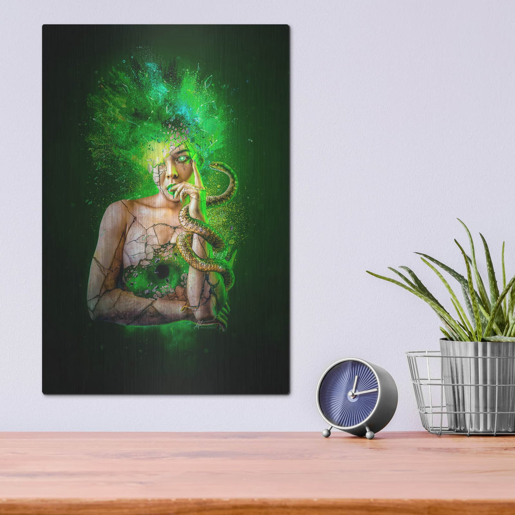 'Envy - Paradise Lost Seven Deadly Sins' by Mario Sanchez Nevado – Metal Wall Art, 12x16 room view