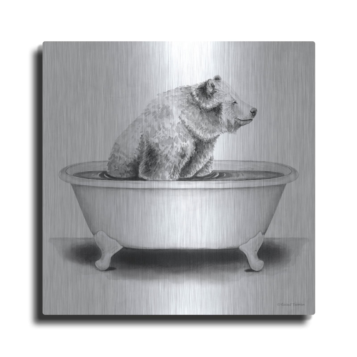 'Bear in Tub' by Rachel Nieman – Metal Wall Art