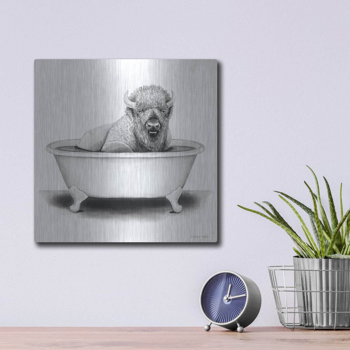'Bison in Tub' by Rachel Nieman – Metal Wall Art, 12x12 room view