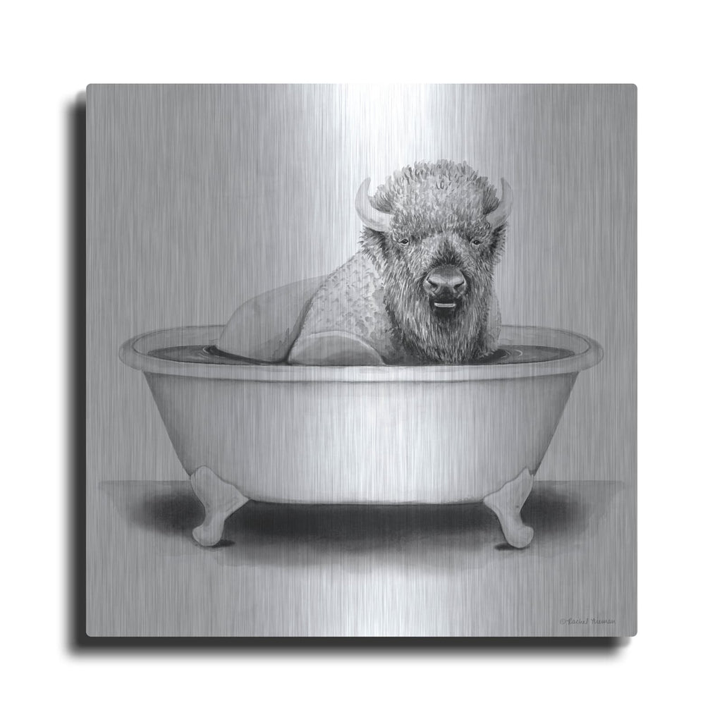 'Bison in Tub' by Rachel Nieman – Metal Wall Art