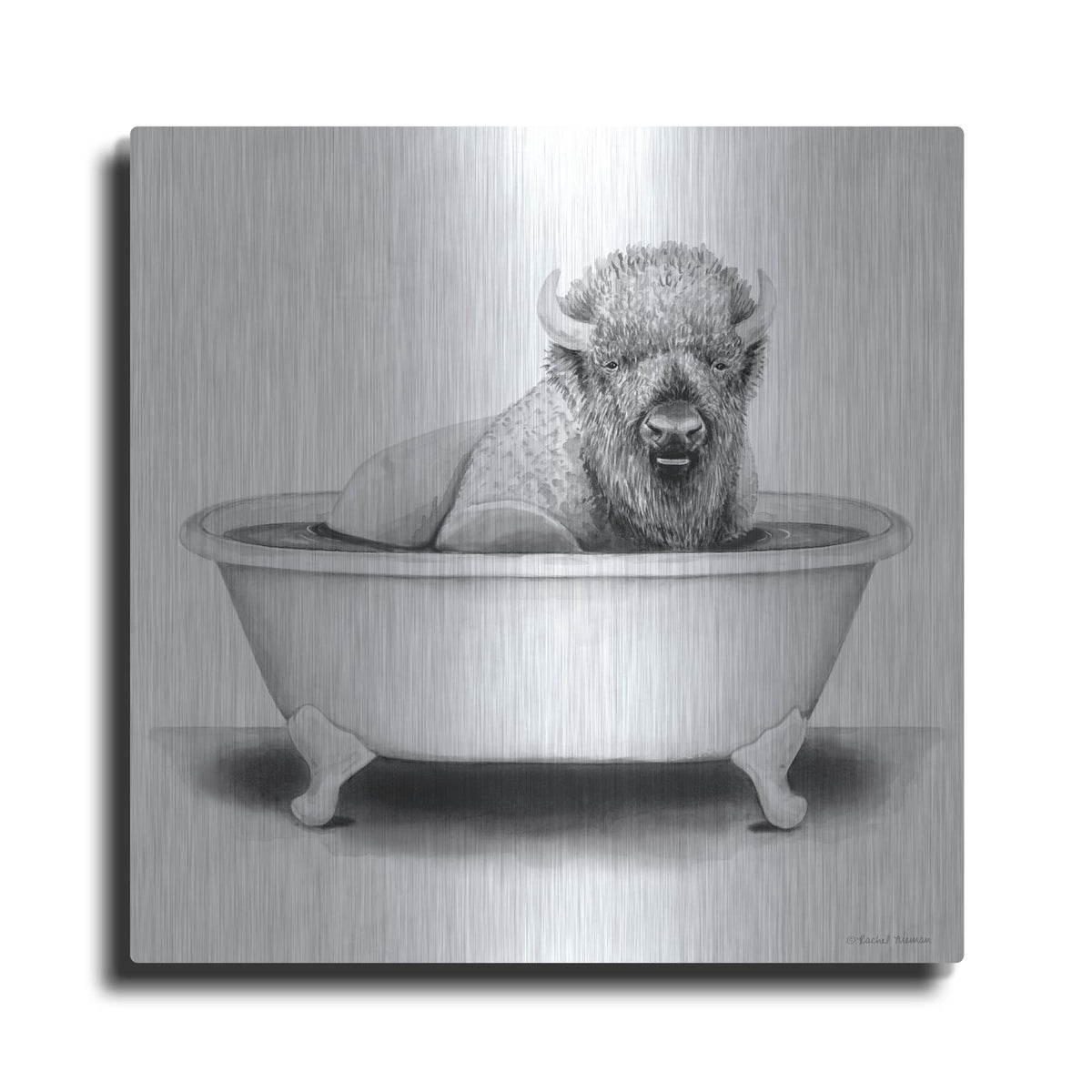 'Bison in Tub' by Rachel Nieman – Metal Wall Art