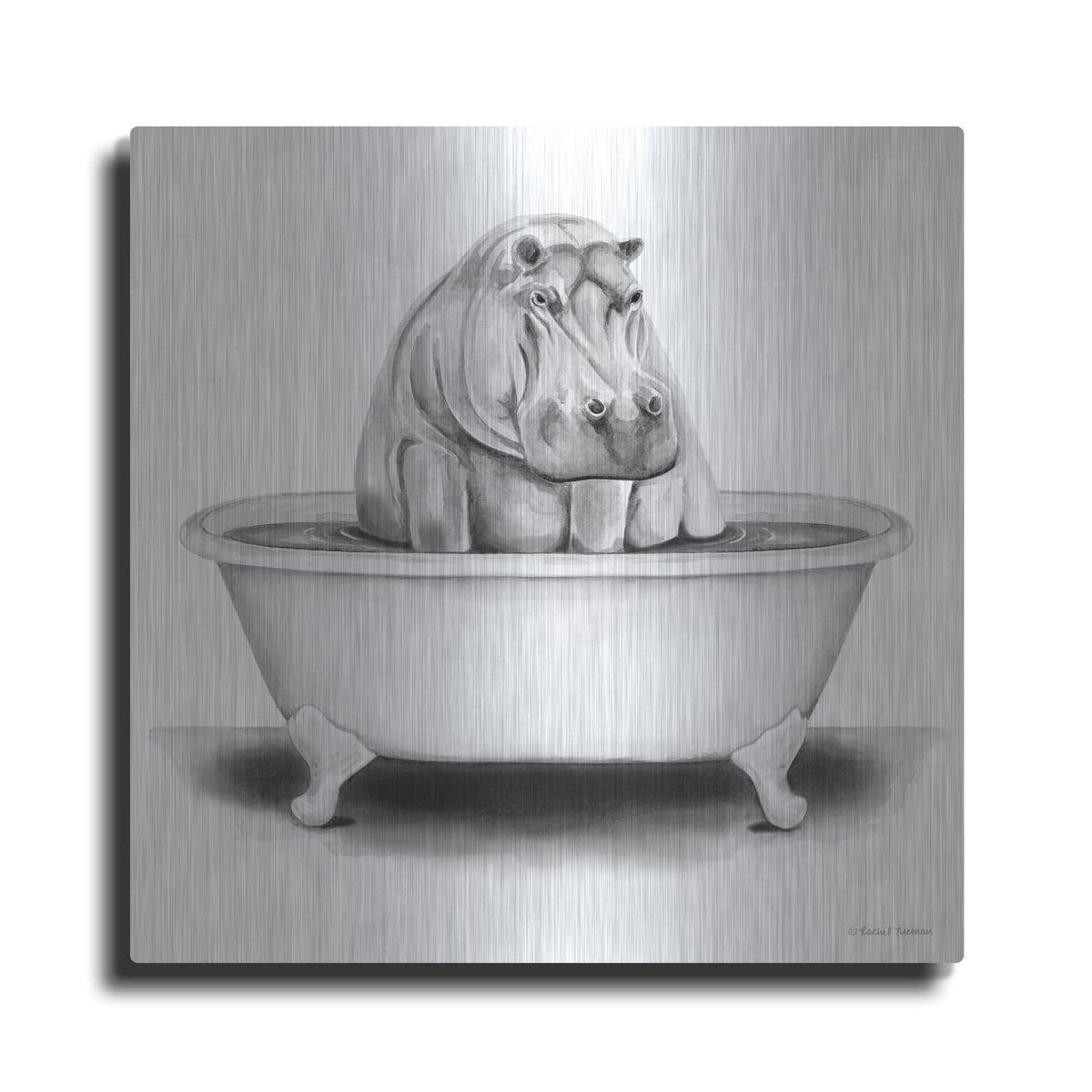 'Hippo in Tub' by Rachel Nieman – Metal Wall Art