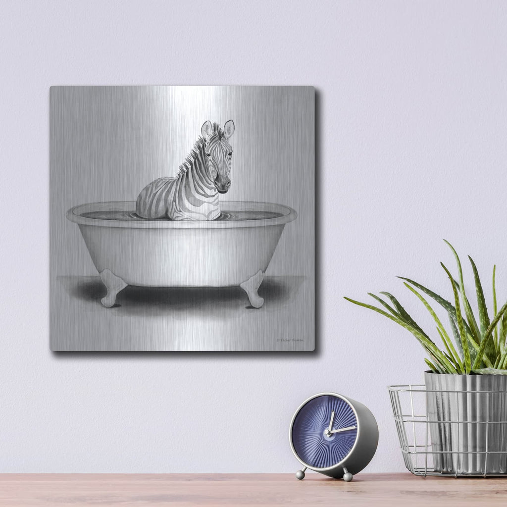 'Zebra in Tub' by Rachel Nieman – Metal Wall Art, 12x12 room view
