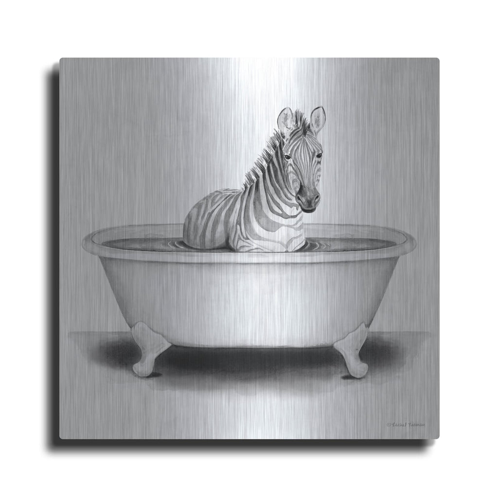 'Zebra in Tub' by Rachel Nieman – Metal Wall Art