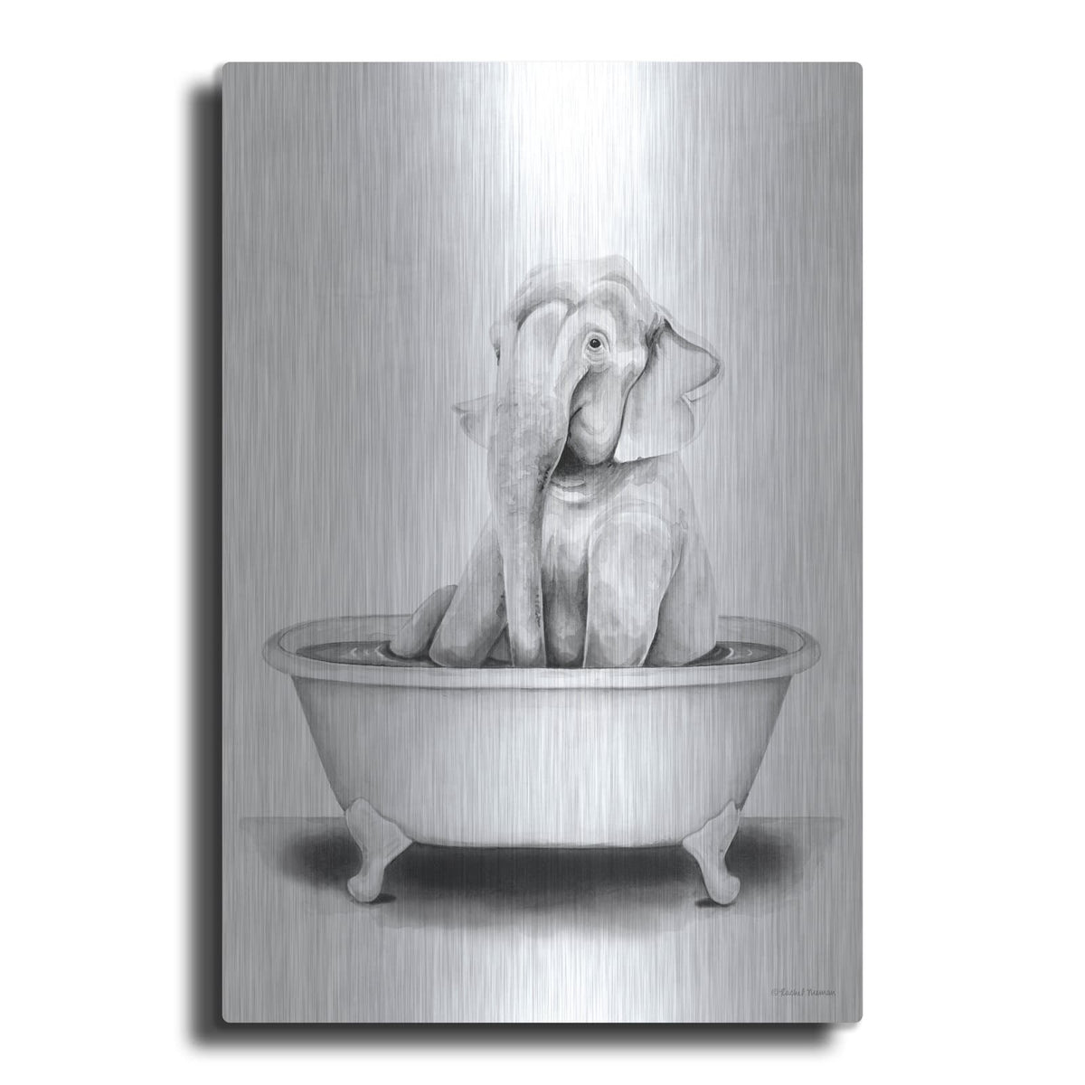 'Elephant in Tub' by Rachel Nieman – Metal Wall Art