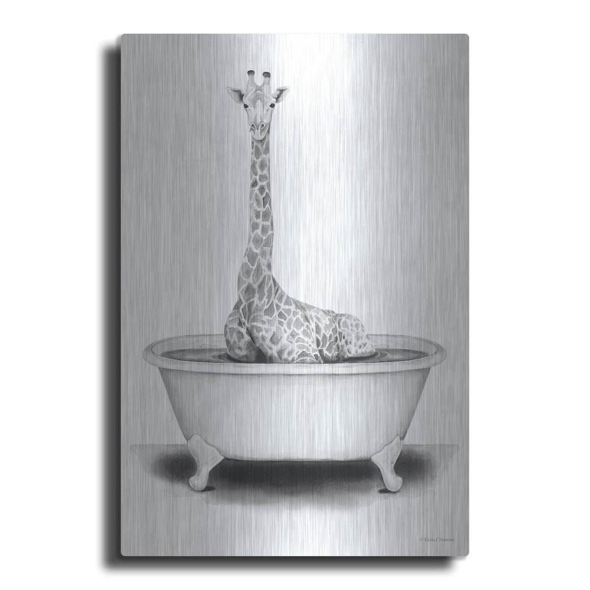 'Giraffe in Tub' by Rachel Nieman – Metal Wall Art