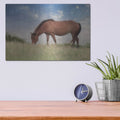 'Assataegue Horse' by Lori Deiter – Metal Wall Art, 16x12 room view