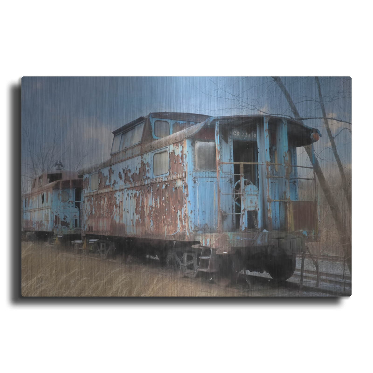 'The Dalmatia Run' by Lori Deiter – Metal Wall Art