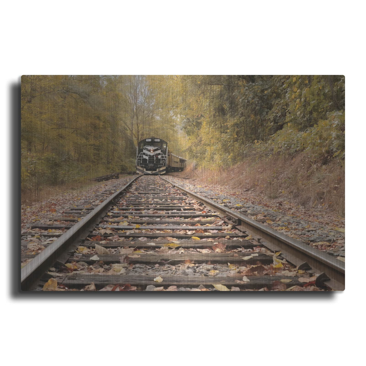 'Great Smoky Mountains Railroad' by Lori Deiter – Metal Wall Art