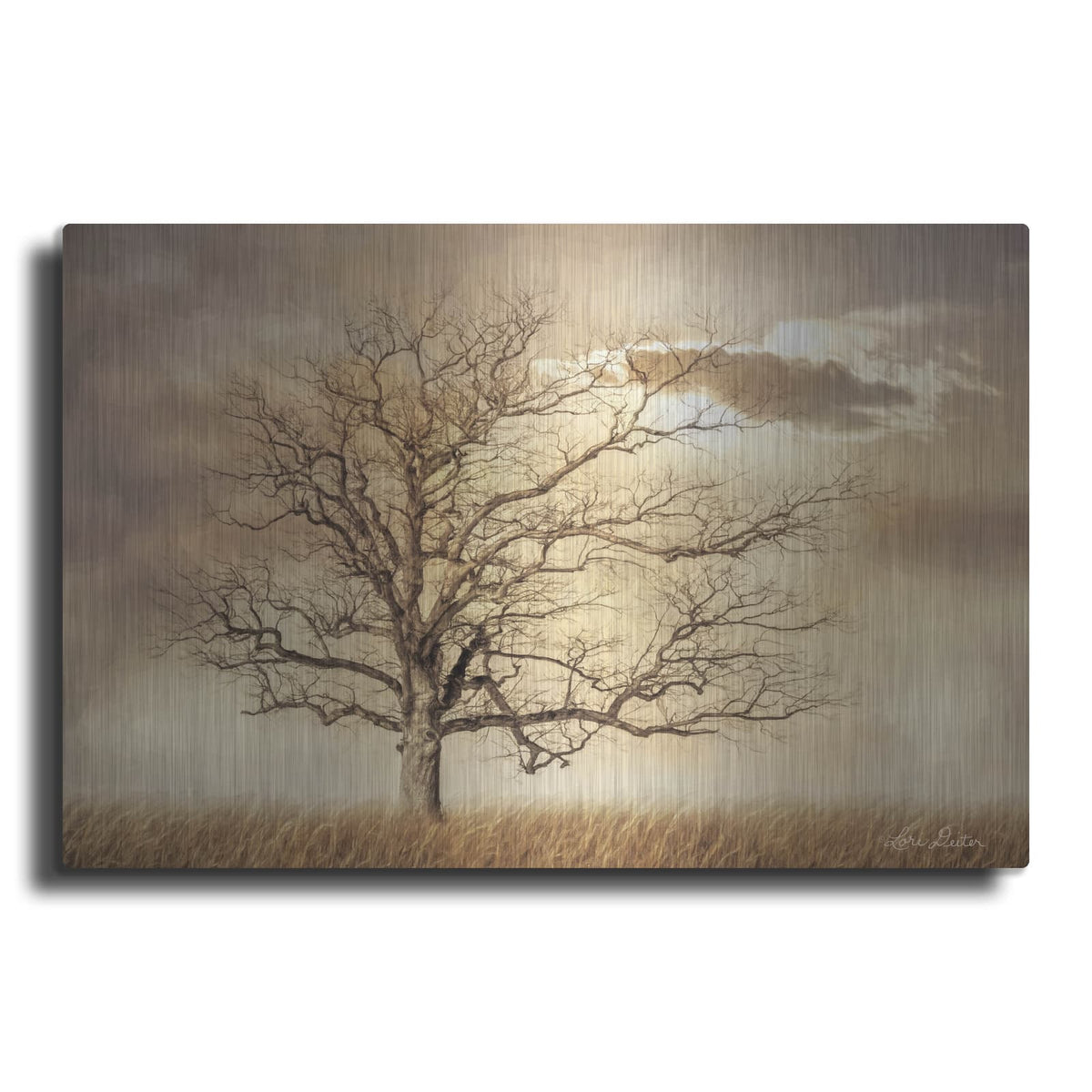 'Golden Tree' by Lori Deiter – Metal Wall Art