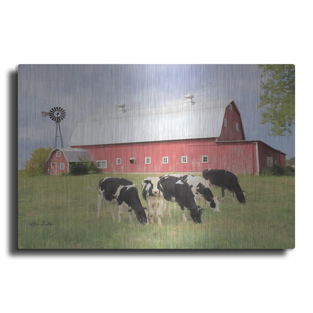 'Henderson Cows' by Lori Deiter – Metal Wall Art