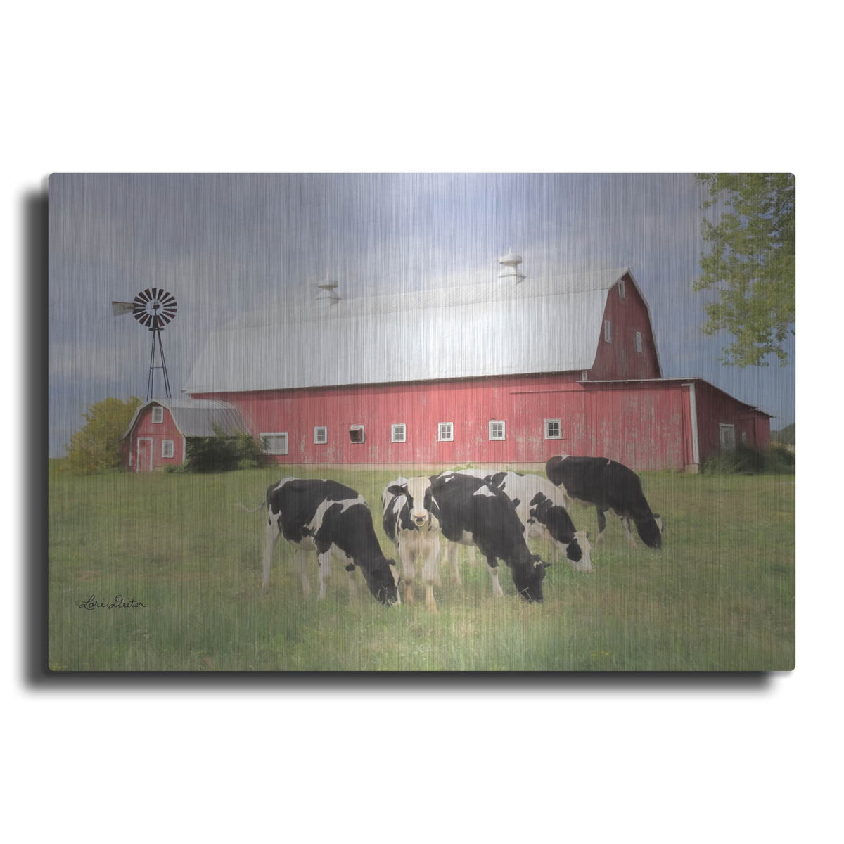 'Henderson Cows' by Lori Deiter – Metal Wall Art