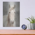 'White Beauty I' by Lori Deiter – Metal Wall Art, 12x16 room view