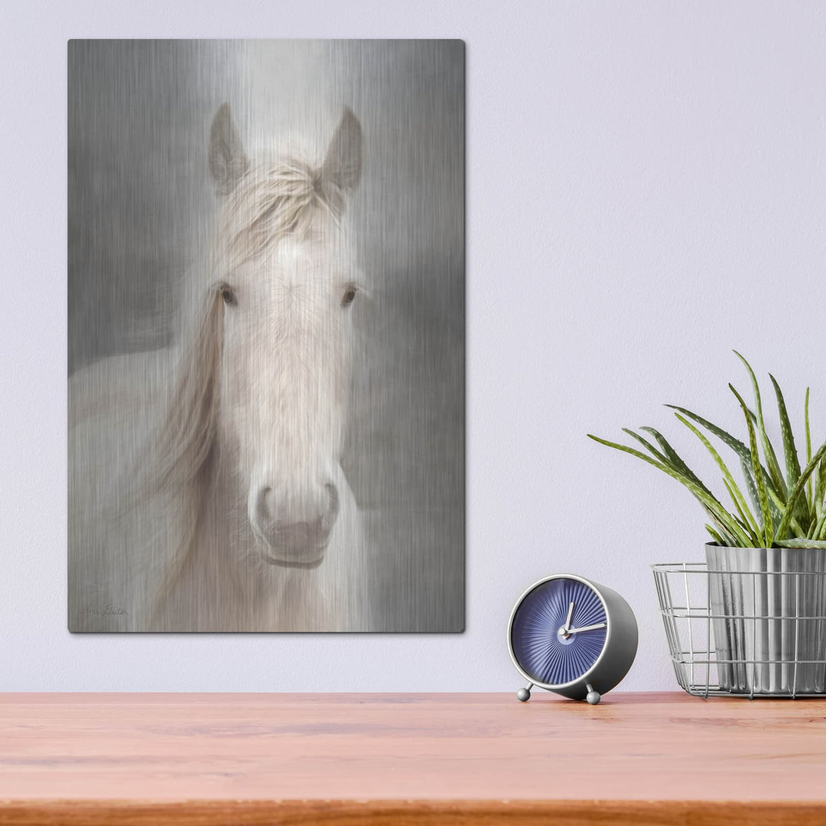 'White Beauty I' by Lori Deiter – Metal Wall Art, 12x16 room view