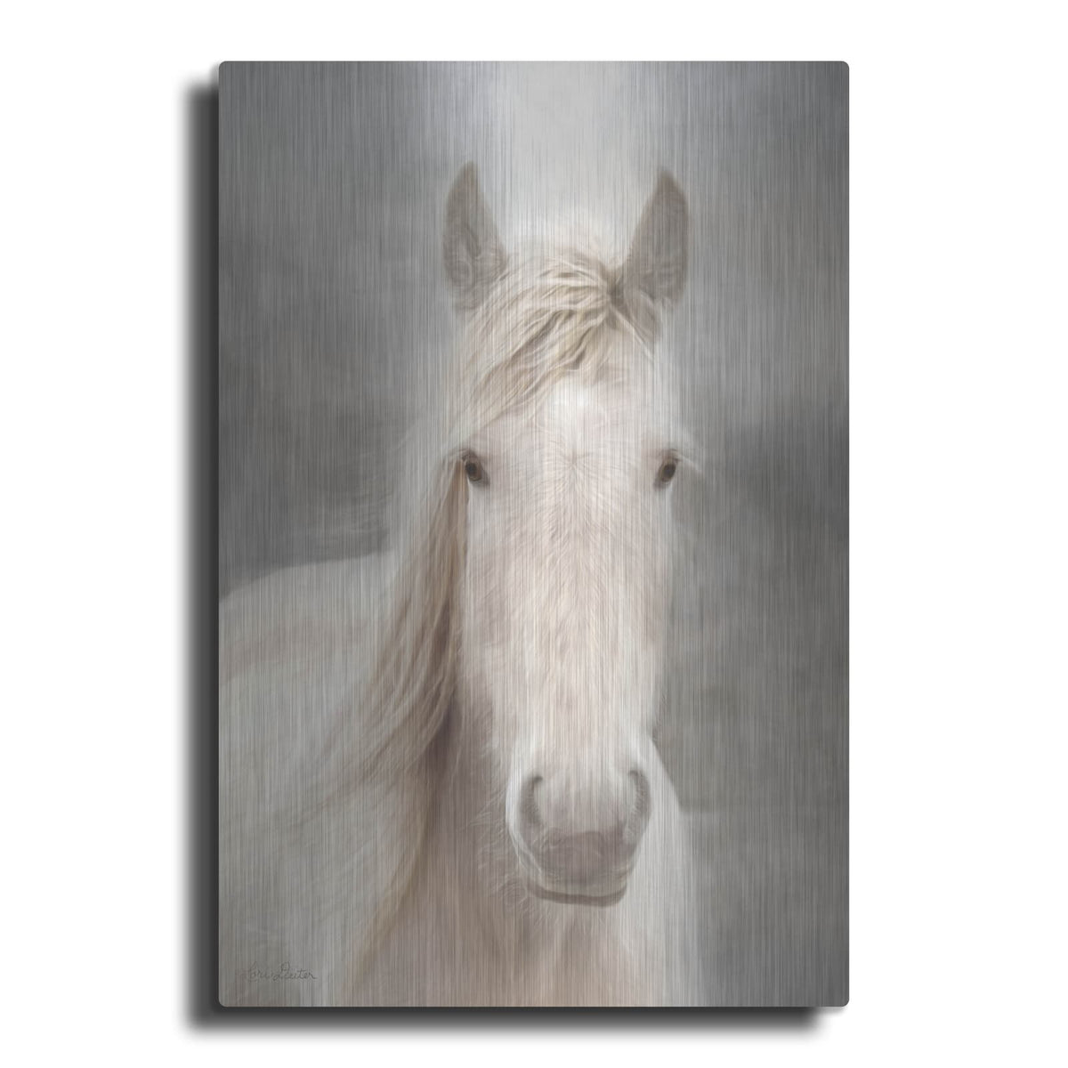 'White Beauty I' by Lori Deiter – Metal Wall Art