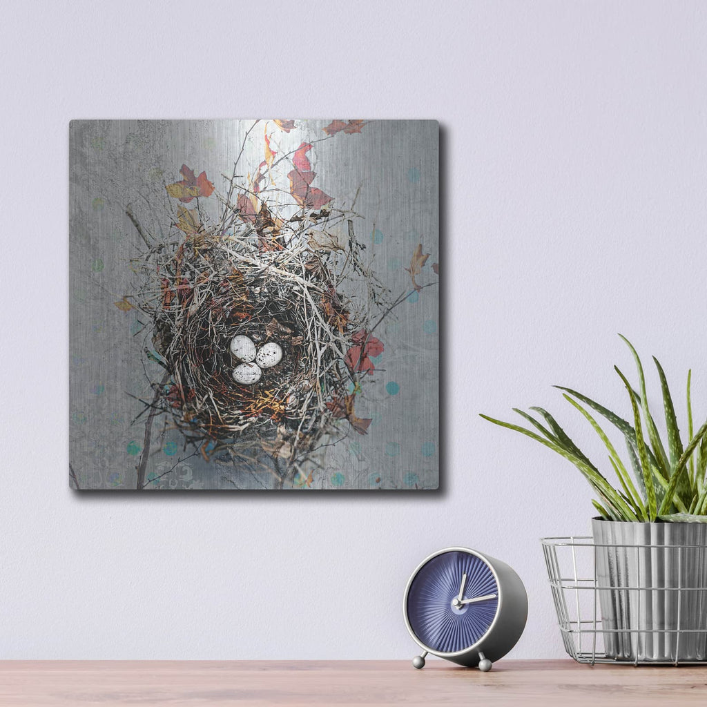 'Nest' by Elena Ray – Metal Wall Art, 12x12 room view