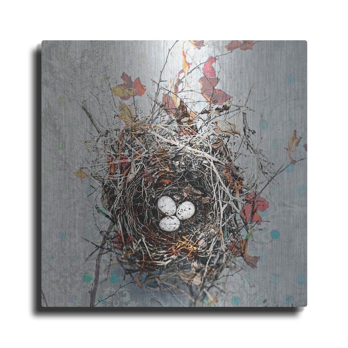 'Nest' by Elena Ray – Metal Wall Art