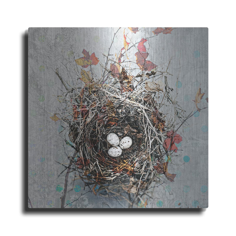 'Nest' by Elena Ray – Metal Wall Art