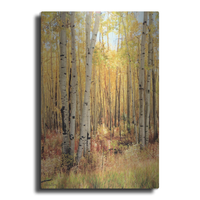 'Solid Gold II' by Lori Deiter – Metal Wall Art