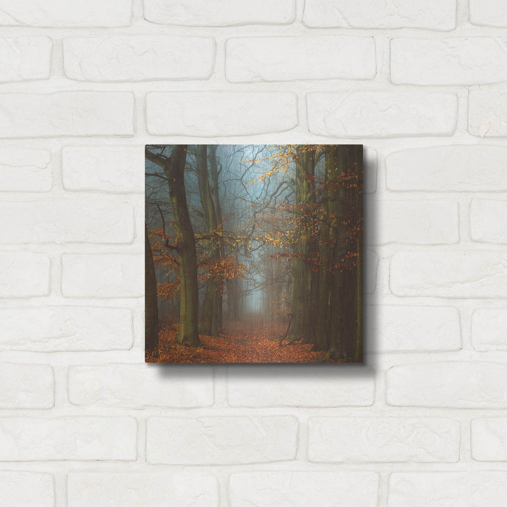 Luxe Metal Art 'Path of The Mystics' by Lars Van de Goor, Metal Wall Art,12x12