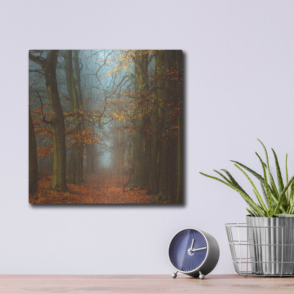 Luxe Metal Art 'Path of The Mystics' by Lars Van de Goor, Metal Wall Art,12x12