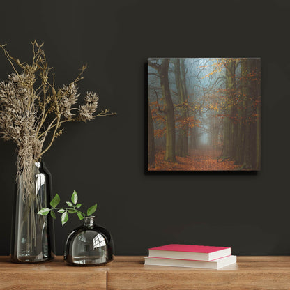 Luxe Metal Art 'Path of The Mystics' by Lars Van de Goor, Metal Wall Art,12x12