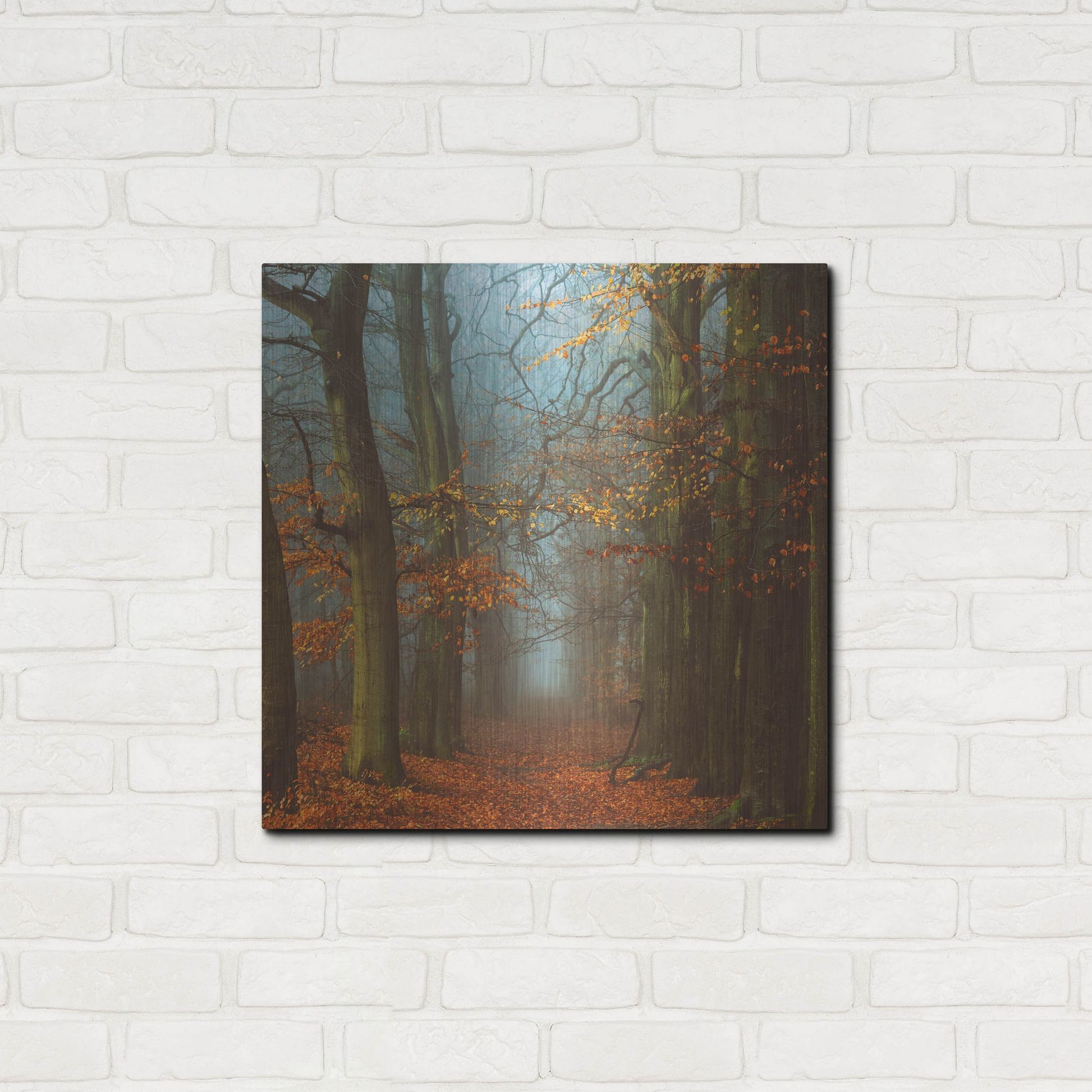 Luxe Metal Art 'Path of The Mystics' by Lars Van de Goor, Metal Wall Art,24x24
