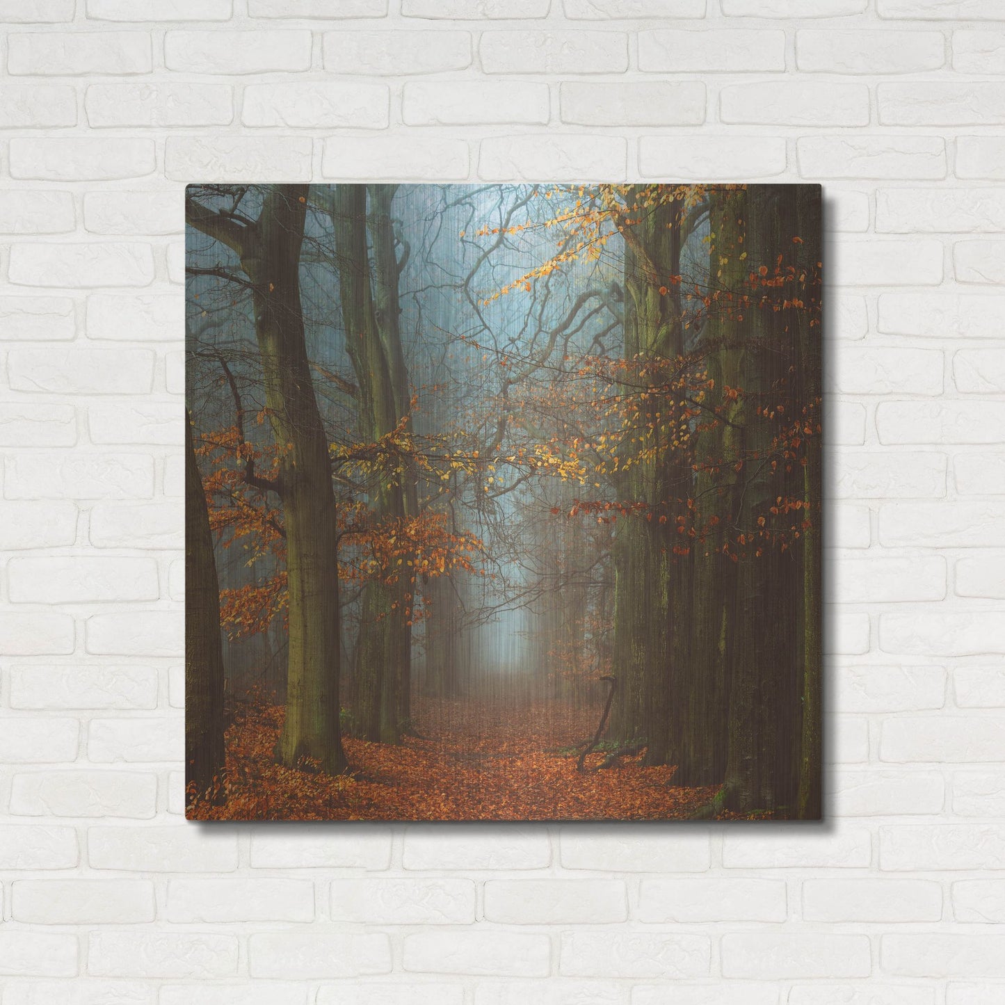Luxe Metal Art 'Path of The Mystics' by Lars Van de Goor, Metal Wall Art,36x36