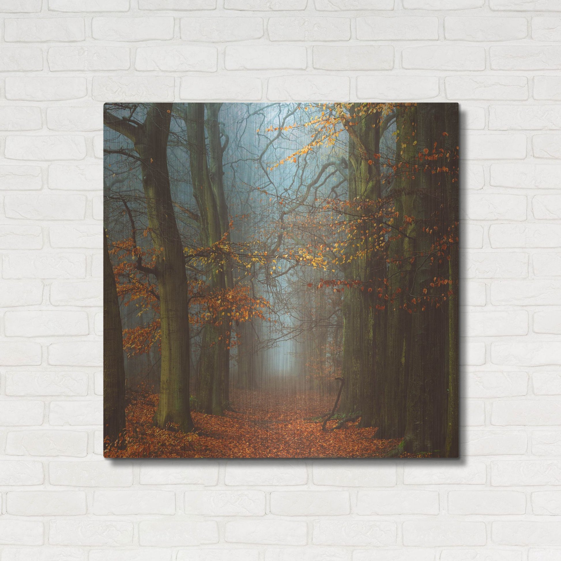 Luxe Metal Art 'Path of The Mystics' by Lars Van de Goor, Metal Wall Art,36x36