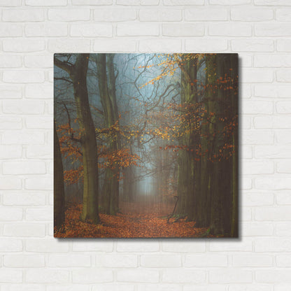 Luxe Metal Art 'Path of The Mystics' by Lars Van de Goor, Metal Wall Art,36x36