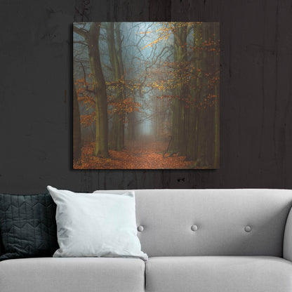 Luxe Metal Art 'Path of The Mystics' by Lars Van de Goor, Metal Wall Art,36x36