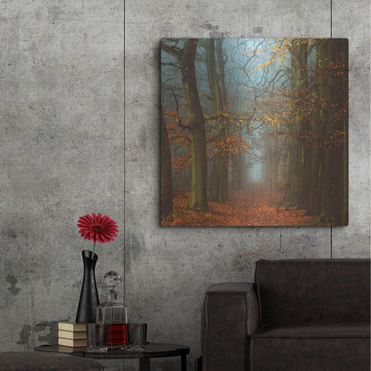 Luxe Metal Art 'Path of The Mystics' by Lars Van de Goor, Metal Wall Art,36x36