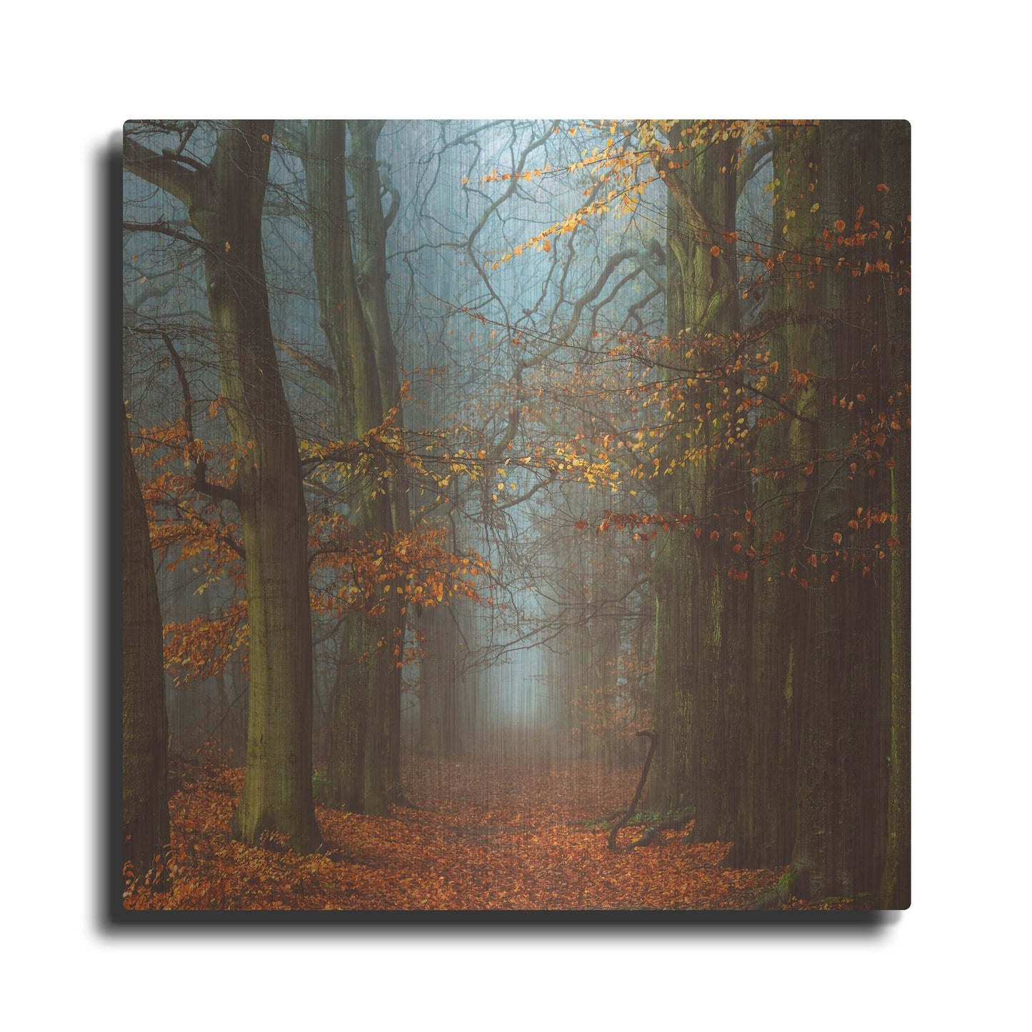 Luxe Metal Art 'Path of The Mystics' by Lars Van de Goor, Metal Wall Art
