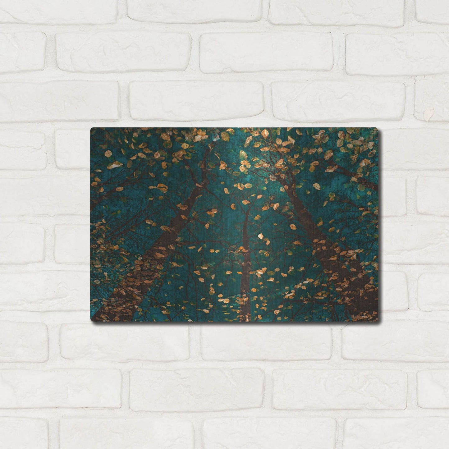 Luxe Metal Art 'Plato's Trees' by Lars Van de Goor, Metal Wall Art,16x12