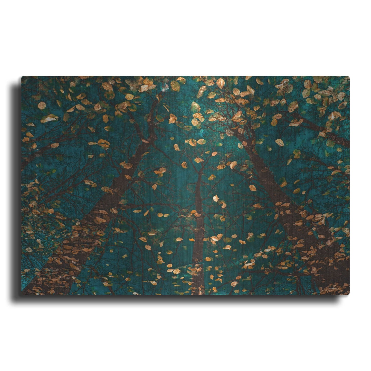 Luxe Metal Art 'Plato's Trees' by Lars Van de Goor, Metal Wall Art